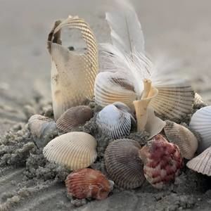 Meet your Posher, Jean